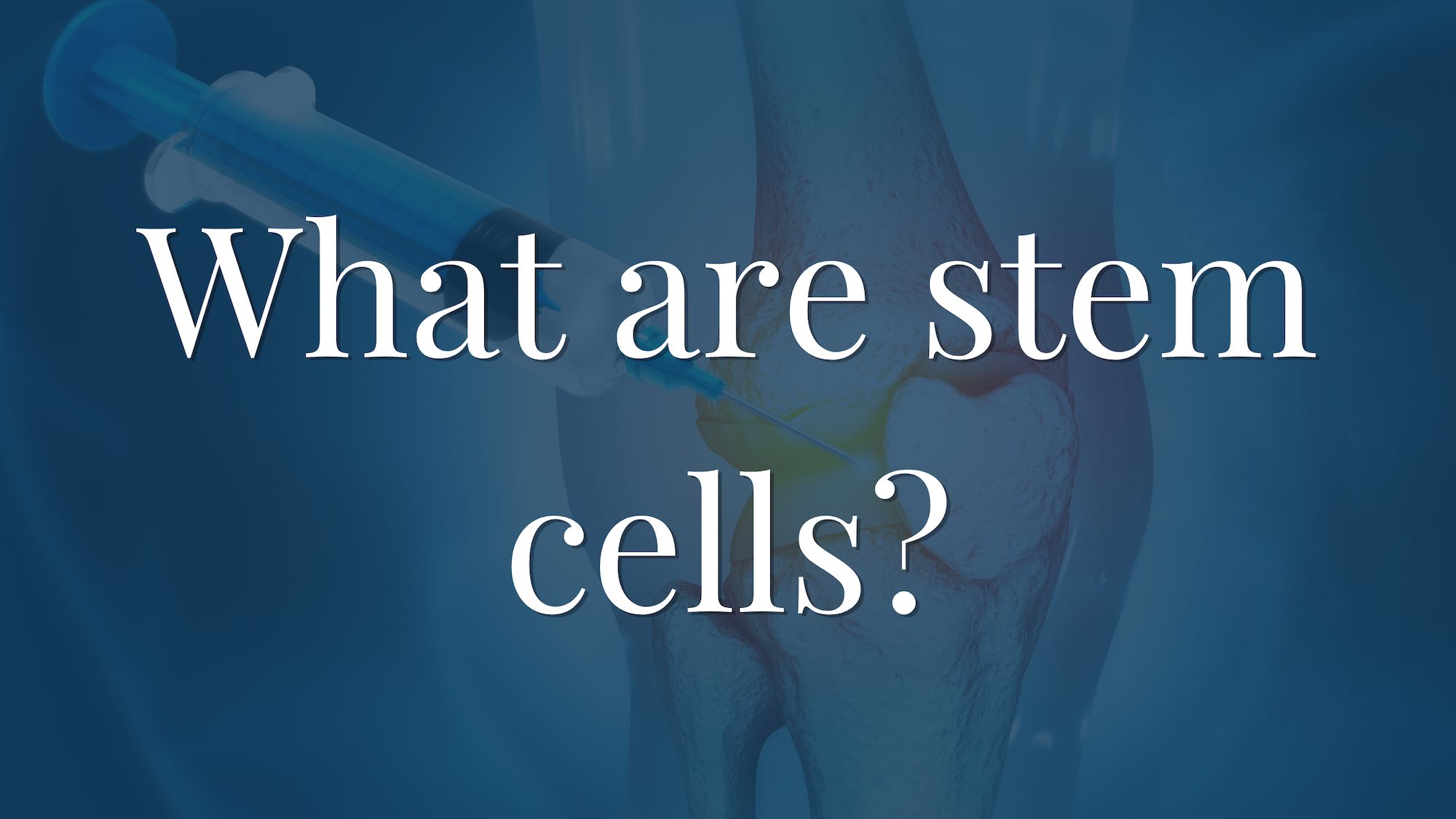 What are stem cells